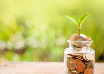 Top BOI application tips every foreign investor should know