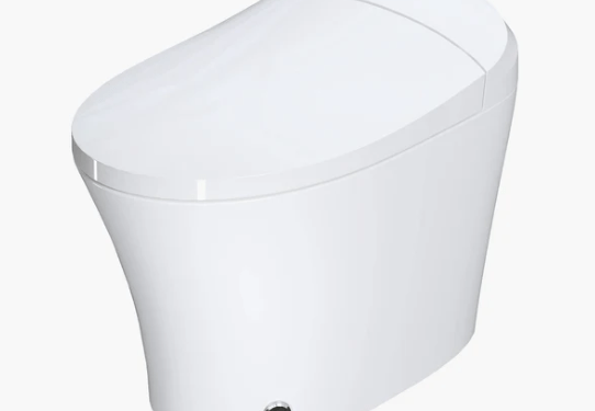 Exploring the Best Toilet with Built-In Bidet: Why the Horow T15 is a Top Choice